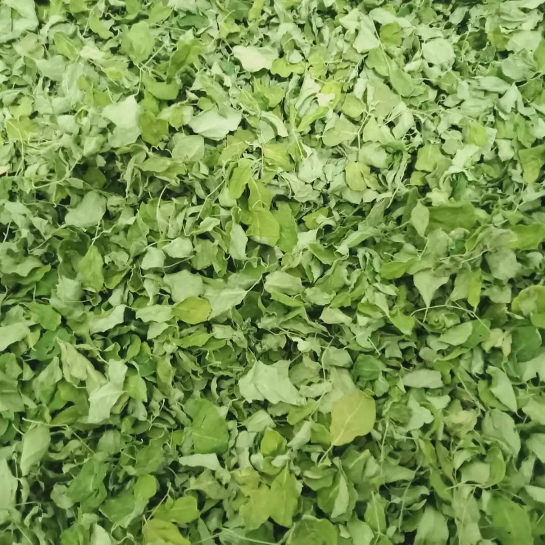 CV Sukses Hijrah Makaba